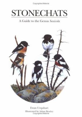 Stonechats : A Guide to the Genus Saxicola