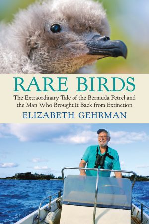 Rare Birds : The Extraordinary Tale of the Bermuda Petrel and the Man Who Brought It Back from Extinction