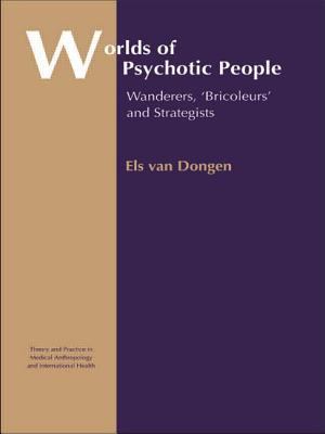 Worlds of Psychotic People : Wanderers, 'Bricoleurs' and Strategists