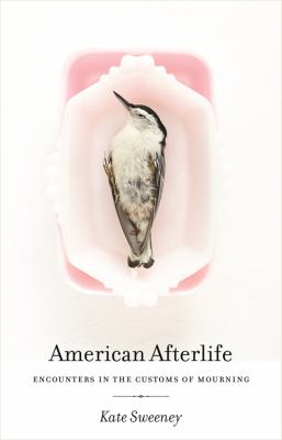 American Afterlife : Encounters in the Customs of Mourning