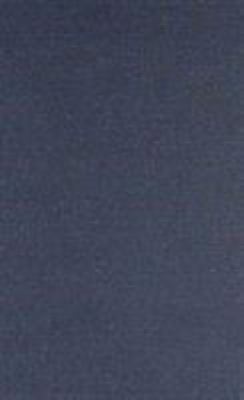 An Economic History of Modern France