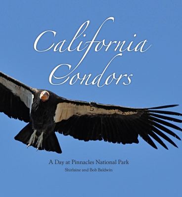 California Condors : A Day at Pinnacles National Park