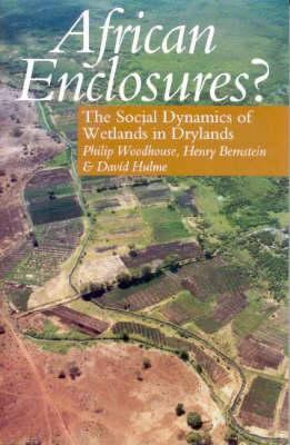African Enclosures? : The Social Dynamics of Wetlands in Drylands