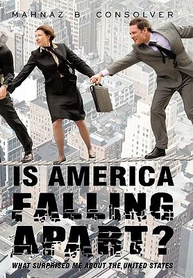 Is America Falling Apart? : What Surprised Me about the United States