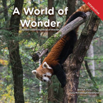 A World of Wonder : A Child's Interactive Book of Wonder