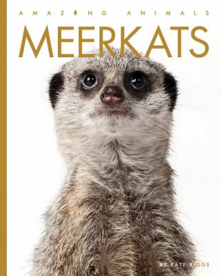 Meerkats