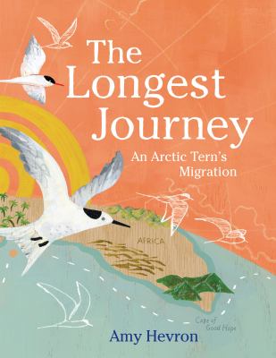 The Longest Journey : An Arctic Terns Migration