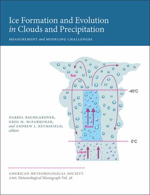 Ice Formation and Evolution in Clouds and Precipitation - Measurement and Modeling Challenges
