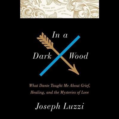 In a Dark Wood : What Dante Taught Me about Grief, Healing, and the Mysteries of Love