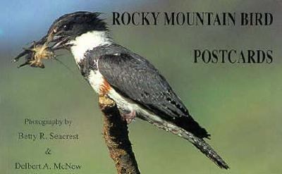 Rocky Mountain Bird