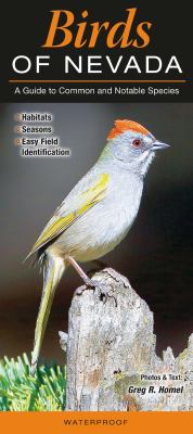 Birds of Nevada : A Guide to Common and Notable Species