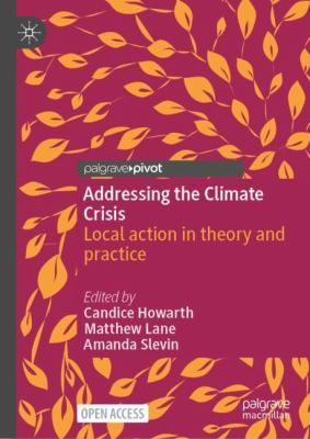 Addressing the Climate Crisis : Local Action in Theory and Practice