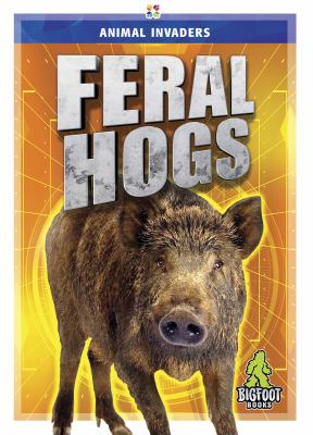 Feral Hogs
