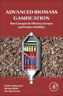 Advanced Biomass Gasification : New Concepts for Efficiency Increase and Product Flexibility