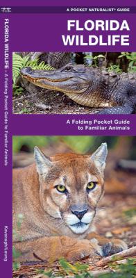 Florida Wildlife : A Folding Guide to Familiar Animals