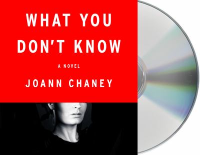 What You Don't Know : A Novel