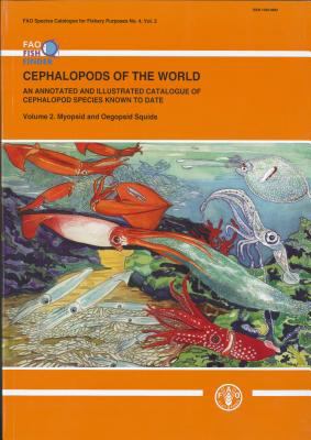 Cephalopods of the World Vol. 2 : An Annotated and Illustrated Catalogue of Cephalopod Species Known to Date