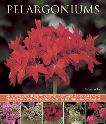 Pelargoniums : An Illustrated Guide to Varieties, Cultivation and Care