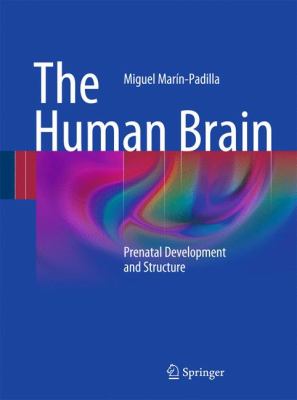 The Human Brain : Prenatal Development and Structure