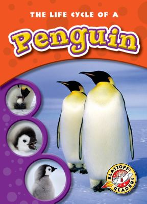 The Life Cycle of a Penguin