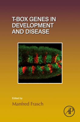 T-Box Genes in Development and Disease