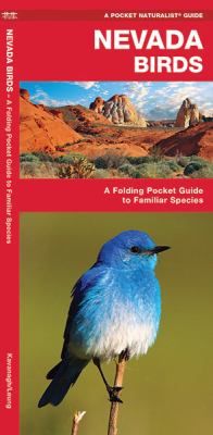 Nevada Birds : A Folding Pocket Guide to Familiar Species