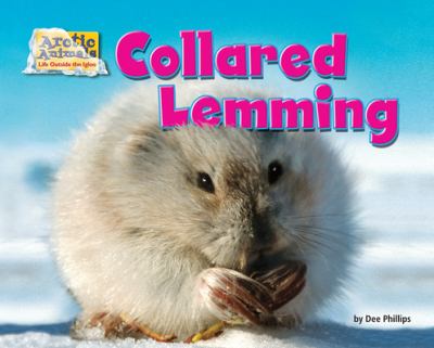 Collard Lemming