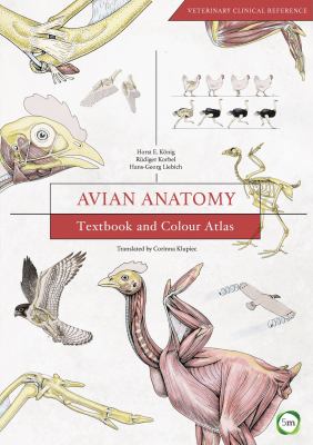 Avian Anatomy : Textbook and Colour Atlas (Second Edition)