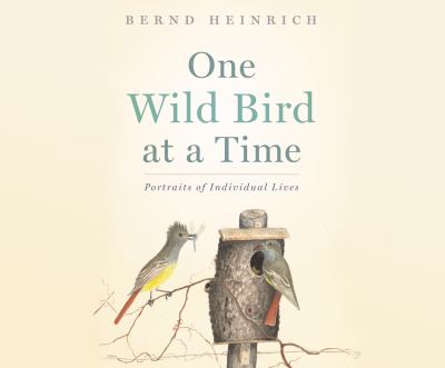 One Wild Bird at a Time : Portraits of Individual Lives