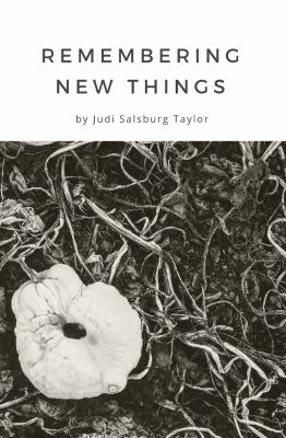 Remembering New Things