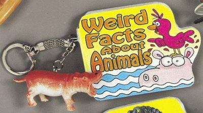 Weird Facts about Animals