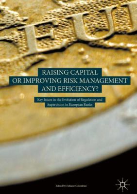 Raising Capital or Improving Risk Management and Efficiency? : Key Issues in the Evolution of Regulation and Supervision in European Banks