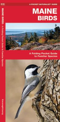 Maine Birds : A Folding Pocket Guide to Familiar Species