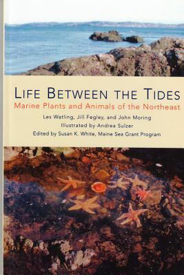 Life Between the Tides : Marine Plants and Animals of the Northeast