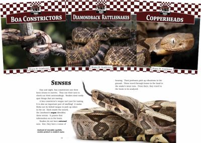 Snakes