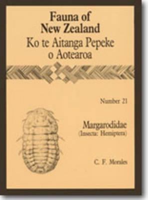 Magarodidae (Insecta: Hemiptera)