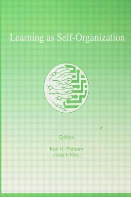 Learning As Self-Organization