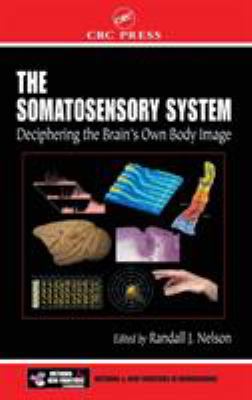 The Somatosensory System : Deciphering the Brain's Own Body Image