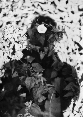 Jochen Lempert: Relación