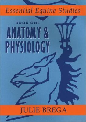 Anatomy and Physiology