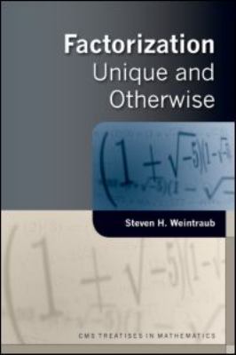 Factorization : Unique and Otherwise