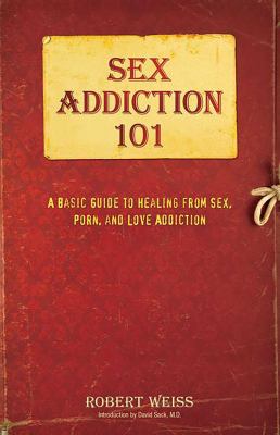 Sex Addiction 101 : A Basic Guide to Healing from Sex, Porn, and Love Addiction