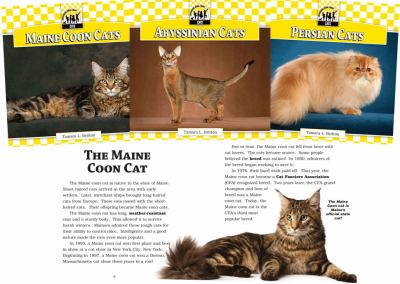 Cats