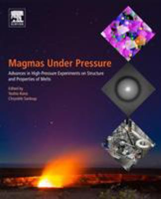 Magmas under Pressure : Advances in High-Pressure Experiments on Structure and Properties of Melts