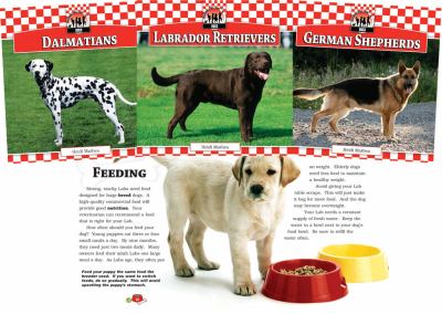 Dogs