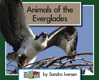 Animals of the Everglades