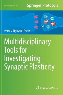 Multidisciplinary Tools for Investigating Synaptic Plasticity