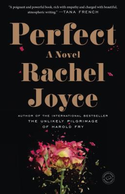 Perfect : A Novel