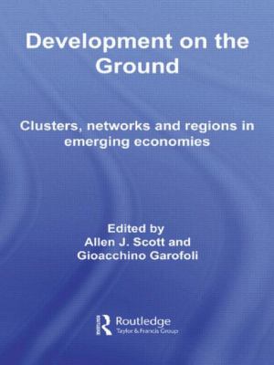 Development on the Ground : Clusters, Networks and Regions in Emerging Economies
