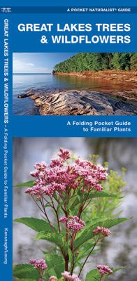 Great Lakes Trees and Wildflowers : A Folding Pocket Guide to Familiar Species
